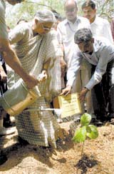 Delhi Chief Minister Sheila Dikshit plants a sapling to mark International Biodiversity Day in the Capital on Tuesday