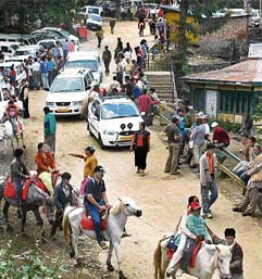 Kufri :Tribune photo