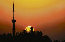 The colour of the setting sun blends with forms of the earth to paint a dream-like sequence