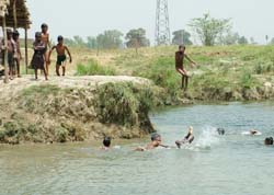 Kids make a splash into the Kali Bein near Goray village in Kapurthala.