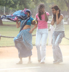 Visitors at India Gate try to save themselves from duststorm in the Capital on Saturday.