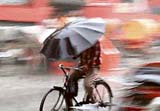 A cyclist tries to shield himself from rain with an umbrella in Ludhiana on Saturday. Mild showers lashed Ludhiana