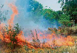 A fire that broke out in a vacant plot in the vicinity of the Sector 27-B petrol pump in Chandigarh on Tuesday.