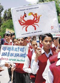 Students from various schools take out an anti-tobacco rally organised by the Himachal Pradesh Voluntary Health Association at Shimla on Wednesday. 