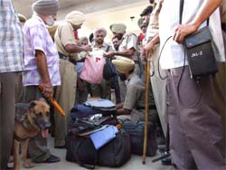 A massive combing operation was held at Jalandhar bus stand on Friday. CRPF and Punjab Police personnel were involved in the exercise.