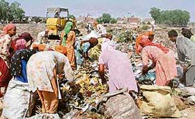 Unaware of health hazards this dumping ground poses, these ragpickers go about their work in Chandigarh on the eve of World Environment Day
