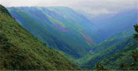 Cherrapunji in Meghalaya is the wettest place in the world, having 14,000 mm of rain every year. Yet it faces an acute scarcity of water