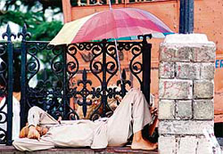 A man takes an afternoon nap under the shade of an umbrella in Shimla on Wednesday.