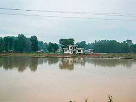 A field near Sundernagar that was inundated following heavy rain on Friday.