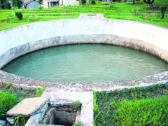 Dirty water in one of the uncovered tanks on the HP Agricultural University campus in Palampur on Saturday.