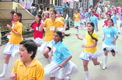 Tribune photo
