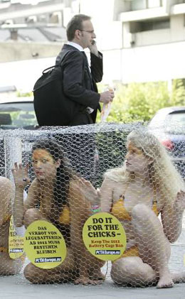Animal rights activists sit in cages to symbolise chicken battery during a protest in central Brussels on Tuesday.