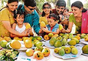 Mango lovers appreciate the various sizes of the King of fruits on day one of the Mango Mela at the Yadavindra Gardens in Pinjore