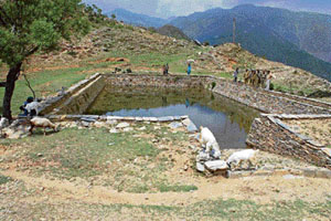 The Forest Department has constructed a rainwater storage pond for Dhelag and Kuddi villages in Bakloh forest range of Chamba district. Villagers feel the pond, which has a storage capacity of around 6 lakh litres, will solve their problem of water shortage. The pond has been constructed under the HP forestry sector reforms project funded by the Department for International Development, UK. 