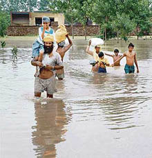 Residents of a border village, Talwandi Raidado, near Ajnala, about 35 km from Amritsar, cross the waterlogged fields as heavy rains lashed the village on Sunday.