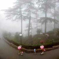 While the foggy envelope embraces Shimla in its generous folds, hot pink candy floss adds to the weather’s romance.