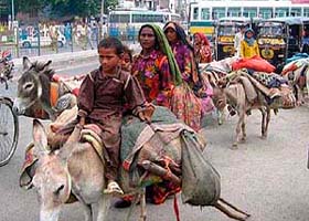 Nomads passing through Hisar on their way back to Rajasthan