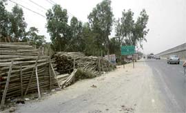 Encroachments on the green belt along the Delhi-Jaipur highway in Gurgaon.