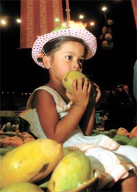 Worth eating, says a child visitor during the 19th two-day Mango Festival at Talkatora Stadium in the Capital