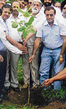R.R. Kakkar, divisional forest officer, plants a sapling at a function organised by Ludhiana Citizen Council in Ludhiana on Thursday.