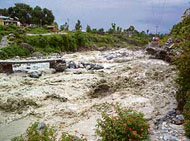 A portion of a bridge near the housing board colony washed away in the flooded rivulet