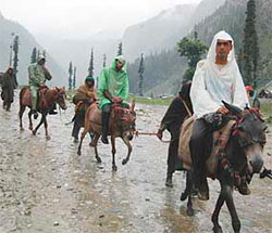 Pilgrims head towards the base camp via Baltal, 141 km from Srinagar, on Sunday.
