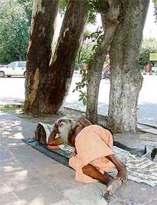 A man enjoys an afternoon siesta under the shade of a tree near Guru Nanak Stadium in Ludhiana