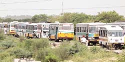 A number of accidents involving Blueline buses have led to stringent action against the erring buses. The picture here shows the impounded bus at a State Transport Authority office in the Capital