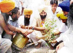 Minister for environment Bikram Singh Majithia launches a statewide sapling plantation drive at Koom Kallan