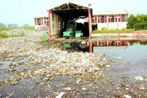 Water-logging of the area has added to the woes. 