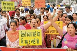 Members of the Punjab State Veterinary Doctors Association hold a rally in Ludhiana on Tuesday.