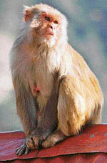 File photo