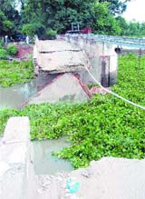 The collapsed bridge near Kanjli in Kapurthala on Wednesday.