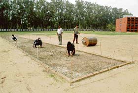 The newly built cricket pitch at GMSSS-32, Chandigarh