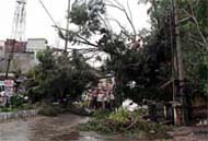Power cables and transformers were also damaged in the storm.