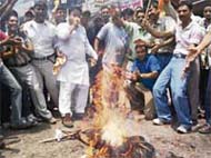 BJP workers burn an effigy of former tourism and transport minister G.S. Bali at his hometown Nagrota Bagwan on Tuesday.