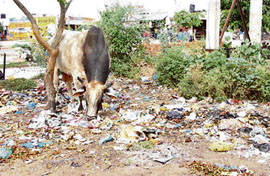 A roadside littered with garbage opposite the marketplace in HUDAs Sector 1 in Rohtak.