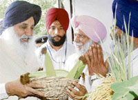 President of the BKU Balbir Singh Rajewal welcomes Punjab Chief Minister Parkash Singh Badal at a seminar by presenting a basket full of chhalian (corncobs) and shoots of paddy plants in Chandigarh on Friday.