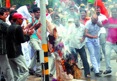 Delhi Pradesh BJP activists burn the effigy of Chief Minister Sheila Dikshit during a demonstration in the Capital