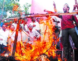 Traders shout slogans as they burn an effigy of Walmart outside Town Hall in the Capital
