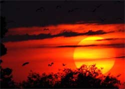 An amazing view of sunset captured at Karnal on Tuesday.