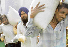 Beneficiaries of the atta-dal scheme at its launch during Independence Day celebrations in Mohali