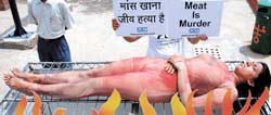 A PETA activist makes a point by lying on a barbecue in front of the Indian Animal Industry Expo- 2007 at Pragati Maidan in the Capital on Thursday.