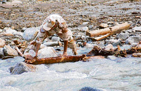 An ITBP jawan searches for bodies at Ghanvi village on Thursday; and (right) grieving family members of cloudburst victims at a relief camp set up near the village on Thursday.