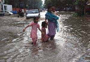 Tribune photo by Pawan Sharma