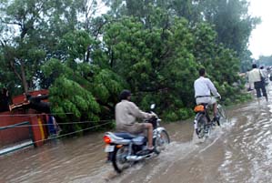Tribune photo by Pawan Sharma