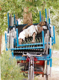 A rickshaw puller enjoys afternoon siesta on his way to Pakhowal village in Ludhiana