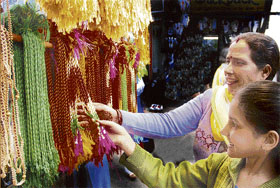 With Raksha Bandhan just a week away, this little girl makes her choice at a rakhi stall in Shimla.