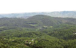Depleted forests around Nahan.