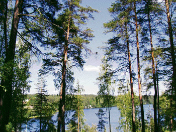 The scenic Lake Vihnusj is located just outside the town                      Photos by the writer